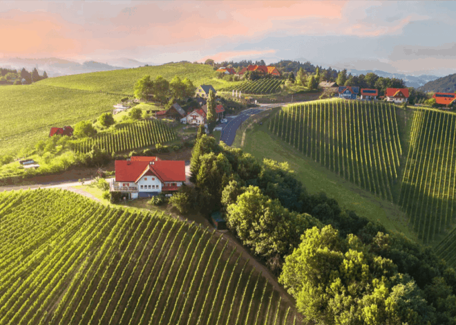 Autumn Road Trips Through the Styrian Wine Country from Leibnitz