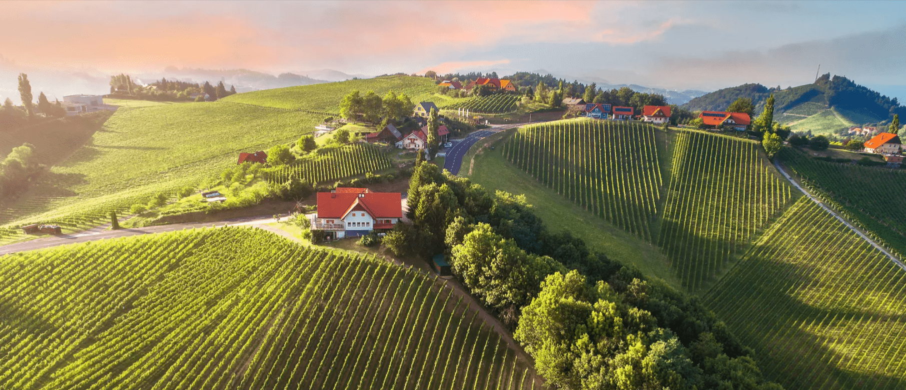 Autumn Road Trips Through the Styrian Wine Country from Leibnitz